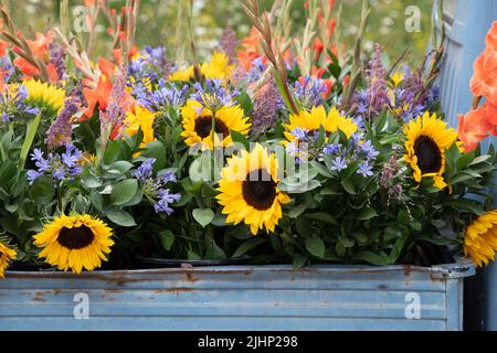 Flowers displaying in an Indian rickshaw pick up at a flower show. UK Stock Photo