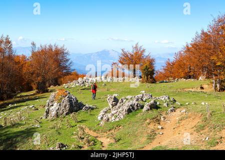 View from Serra Di Crispo in autumn, Pollino National Park, southern Apennine Mountains,  Italy. Stock Photo