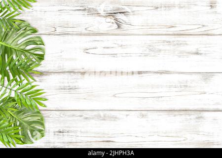 Floral border with green monstera and palm leaves on bright wooden background Stock Photo