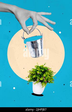 Collage 3d image of pinup pop retro sketch of arm palm watering office plant bucket isolated painting background Stock Photo