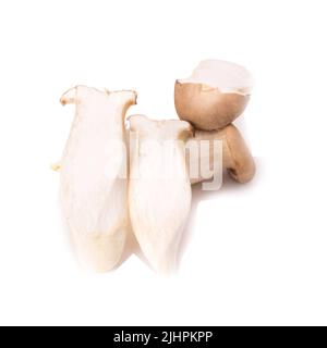 King Oyster mushroom (Eringi) on white backgroud. Stock Photo