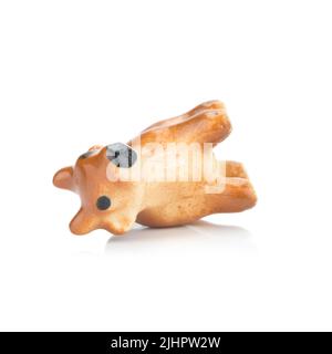 red cow. tow. model. isolated on white background. Stock Photo