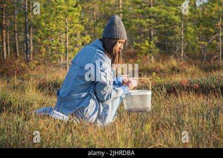 Autumn berries picking. Young woman on swamp searching for ripe cranberry spend weekend outside city Stock Photo
