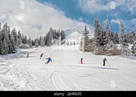 skiers on Vitosha mountain, Bulgaria, Europe, Stock Photo