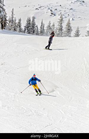 skiers on Vitosha mountain, Bulgaria, Europe, Stock Photo