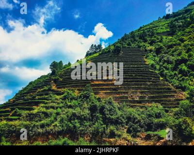 A low angle shot of natural steps on a mountain surrounded by lush greenery Stock Photo