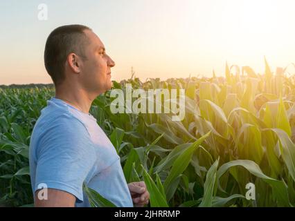 A confident Caucasian young farmer in the corn field enjoying the growth of his business. Concept of business. agriculture and farming. Stock Photo