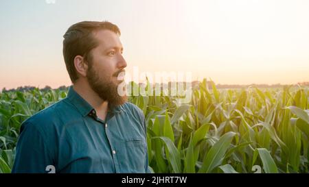 A confident Caucasian young farmer in the corn field enjoying the growth of his business. Concept of business. agriculture and farming. Stock Photo