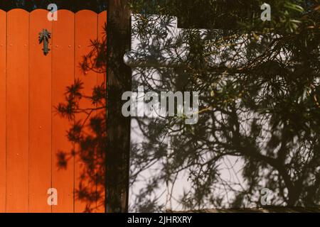 A closeup of a tree with its shadows on an orange gate of a house Stock Photo