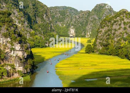 Yellow rice field on Ngo Dong river in Tam Coc Bich Dong from mountain top view in Ninh Binh province of Viet Nam Stock Photo