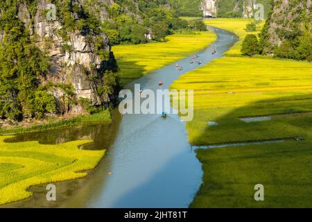 Yellow rice field on Ngo Dong river in Tam Coc Bich Dong from mountain top view in Ninh Binh province of Viet Nam Stock Photo