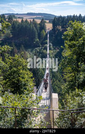 hanging rope bridge Geierlay,Mörsdorf,Hunsrück,Saar-Hunsrück-Steig ...