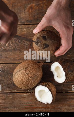 Coconut in process of opening Stock Photo