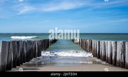 wooden breakwaters along the coast in The Netherlands Stock Photo