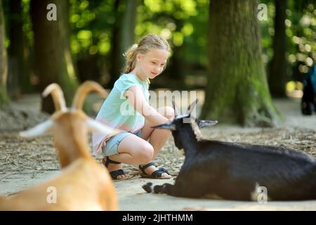 Young girl feeding goats at a zoo on summer day. Children watching livestock on a farm. Kids having fun at zoological garden. Stock Photo