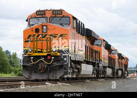 USA70sビンテージ/アメリカSANTAFEサンタフェ鉄道バックル