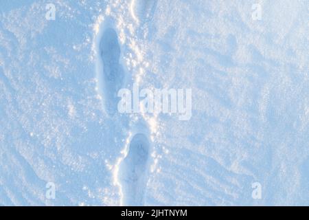 Fresh snowy ground with footsteps on a sunny day in the winter, viewed from above. Stock Photo