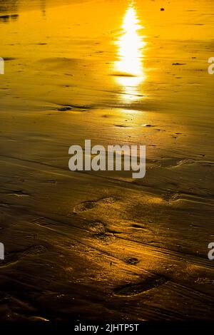 Vertical photo of the wet sand at the beach with golden colored sunlight reflected during evening time. Stock Photo