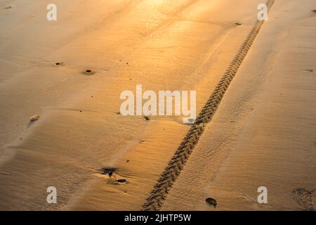 Bike tyre treads patterns impression on wet beach sand with evening golden sunlight on the sand shining. Stock Photo