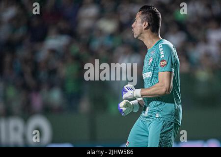 Goiania, Brazil. 20th July, 2022. GO - Goiania - 07/20/2022 - BRAZILIAN A 2022, GOIAS X FLUMINENSE - Fluminense goalkeeper Fabio during a match against Goias at Serrinha stadium for the Brazilian championship A 2022. Photo: Heber Gomes/AGIF/Sipa USA Credit: Sipa USA/Alamy Live News Stock Photo