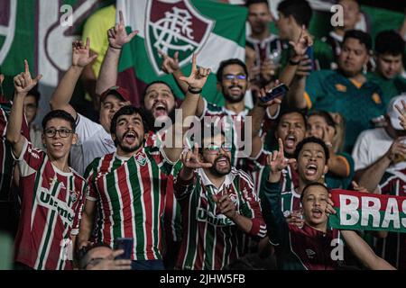 Goiania, Brazil. 20th July, 2022. GO - Goiania - 07/20/2022 - BRAZILIAN A 2022, GOIAS X FLUMINENSE - Fluminense fans during a match against Goias at Serrinha stadium for the Brazilian championship A 2022. Photo: Isabela Azine/AGIF/Sipa USA Credit: Sipa USA/Alamy Live News Stock Photo