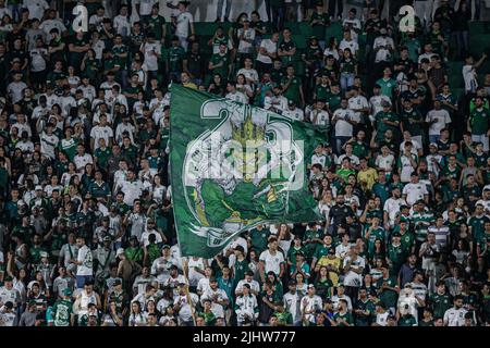 Goiania, Brazil. 20th July, 2022. GO - Goiania - 07/20/2022 - BRAZILIAN A 2022, GOIAS X FLUMINENSE - Supporters during a match between Goias and Fluminense at Serrinha stadium for the Brazilian championship A 2022. Photo: Isabela Azine/AGIF/Sipa USA Credit: Sipa USA/Alamy Live News Stock Photo