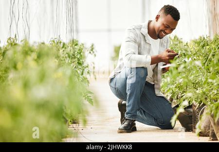 Vegetation station. Full length shot of a handsome young man working on his farm. Stock Photo