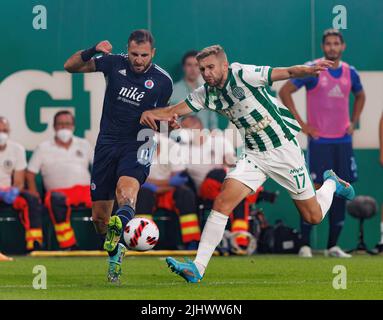 COPA90 on X: Hungarian club Ferencvárosi TC made history last night by  qualifying for the Champions League. The first time in 25 long years.   / X