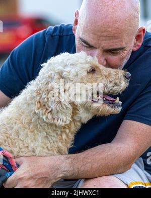 Affectionate moment between a middle aged man and his beautiful beige coloured Labradoodle dog Stock Photo