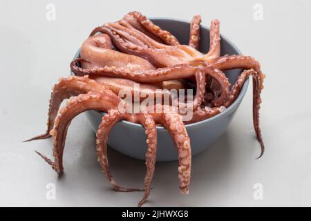 Squid tentacles dangle from the edges of bowl. Top view. Gray background. Stock Photo
