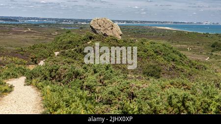 Agglestone Rock aka Devil's Anvil, Studland and Godlingston Heath, Dorset, UK Stock Photo