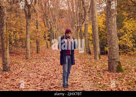 Young white Caucasian man looking at smartphone in a corridor of trees over brown fallen leaves in forest dressed in long coat and cap. Autumn colors Stock Photo