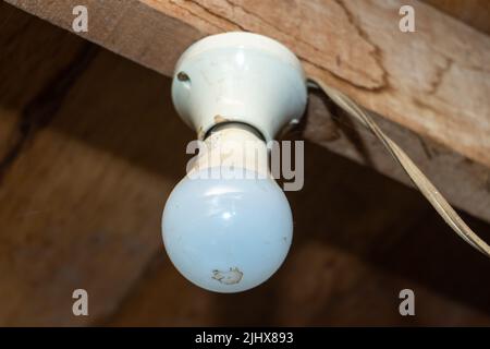 A energy-saving light bulb in a socket fixed on the wooden ceiling Stock Photo