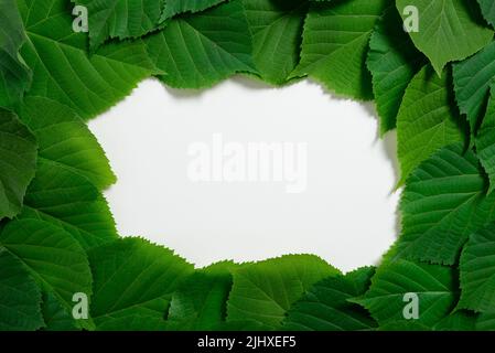 Important Messages Written On Paper Under Lot Of Leaves. Crutial Informations Presented Underneath Group Of Frondles. Critical Announcements Shown. Stock Photo