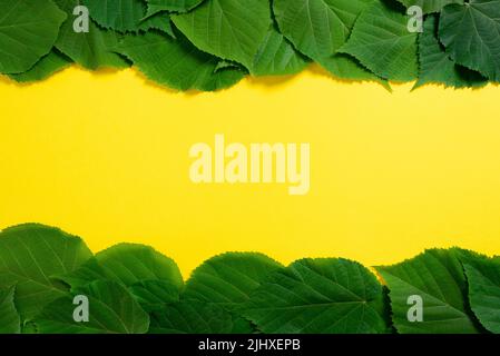 Important Messages Written On Paper Under Lot Of Leaves. Crutial Informations Presented Underneath Group Of Frondles. Critical Announcements Shown. Stock Photo