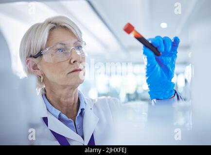 What will she discover. a mature scientist analysing a blood sample in a test tube. Stock Photo