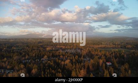 An aerial drone view of the cityscape of Lake Stevens with trees and houses under a cloudy sky Stock Photo