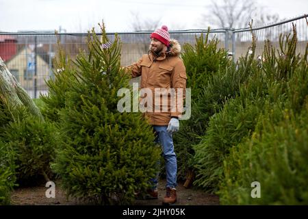 happy man choosing christmas tree at market Stock Photo