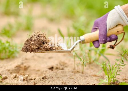 hand digging flowerbed ground with garden trowel Stock Photo