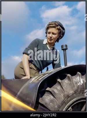 WW2 Land Army girl Doreen Bacchus at the Women's Timber Corps training camp at Culford in Suffolk. Propaganda image of agriculture food production via Land Army (WLA) during WW2 1940 Womens Land Army girl, on a tractor. Great Britain UK World War II Second World War Stock Photo
