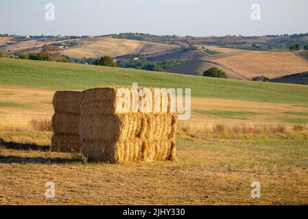 A view of haystacks in a field near Montegridolfo, an antique village in the Emilia-Romagna region of Italy. Cultivated fields on the hillside, under Stock Photo