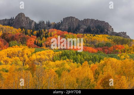 Autumn colors near Kebler Pass west of Crested Butte, Colorado Stock Photo