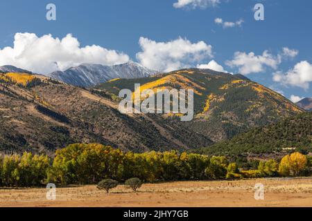 Autumn colors along US 50, Sawatch Range, Poncha Springs, Chaffee County, Colorado Stock Photo