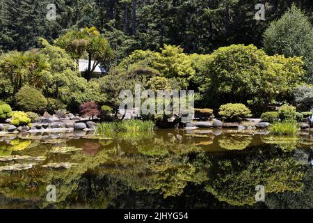 The Japanese lily pond at the botanical garden at Shore Acres State Park in Coos Bay, Oregon. Stock Photo