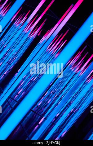Abstract neon lights of blue and pink Stock Photo