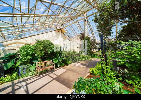 Walking path with bench in greenhouse and glass ceiling Stock Photo