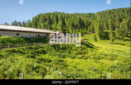 The mountain hut - Malga Romeno, at the feet of the Mount Roen, italian dolomites - Trentino Alto Adige, northern italy - Stock Photo