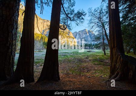 Upper Yosemite Falls through opening in dark forest Stock Photo