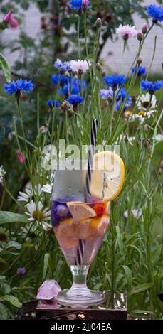 sommar limonade on blue wild meadow cornflowers in the morning Stock Photo