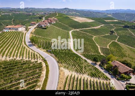 Aerial overview of the Romantic Road of the Langhe and Roero among endless landscapes of vineyards. Piedmont Italy Stock Photo